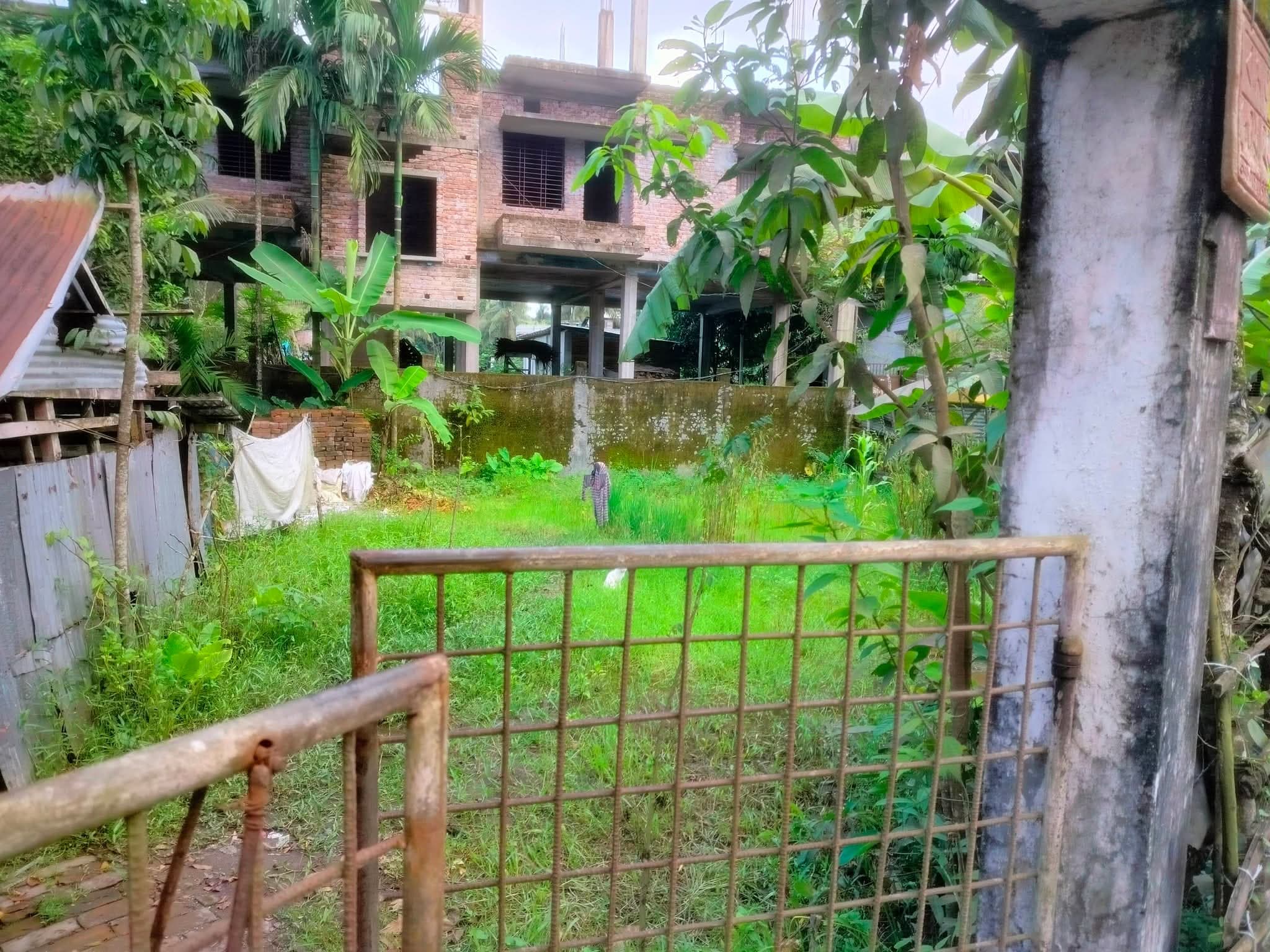 🏡✨ জমি বিক্রয় বিজ্ঞপ্তি সুলভ মূল্যে সুযোগ