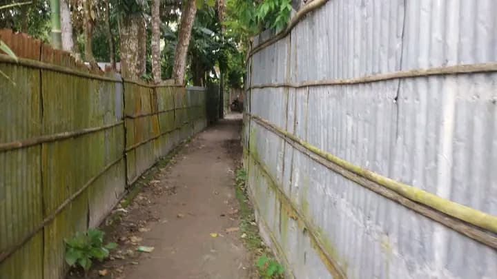 জরুরি ভিত্তিতে বসতবাড়িসহ জমি বিক্রি হবে — কুড়িগ্রাম 3