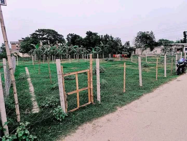 জরুরি ভিত্তিতে জয়পুরহাট শহরে স্বল্পমূল্যে ৭ শতাংশ জমি বিক্রয়। 2