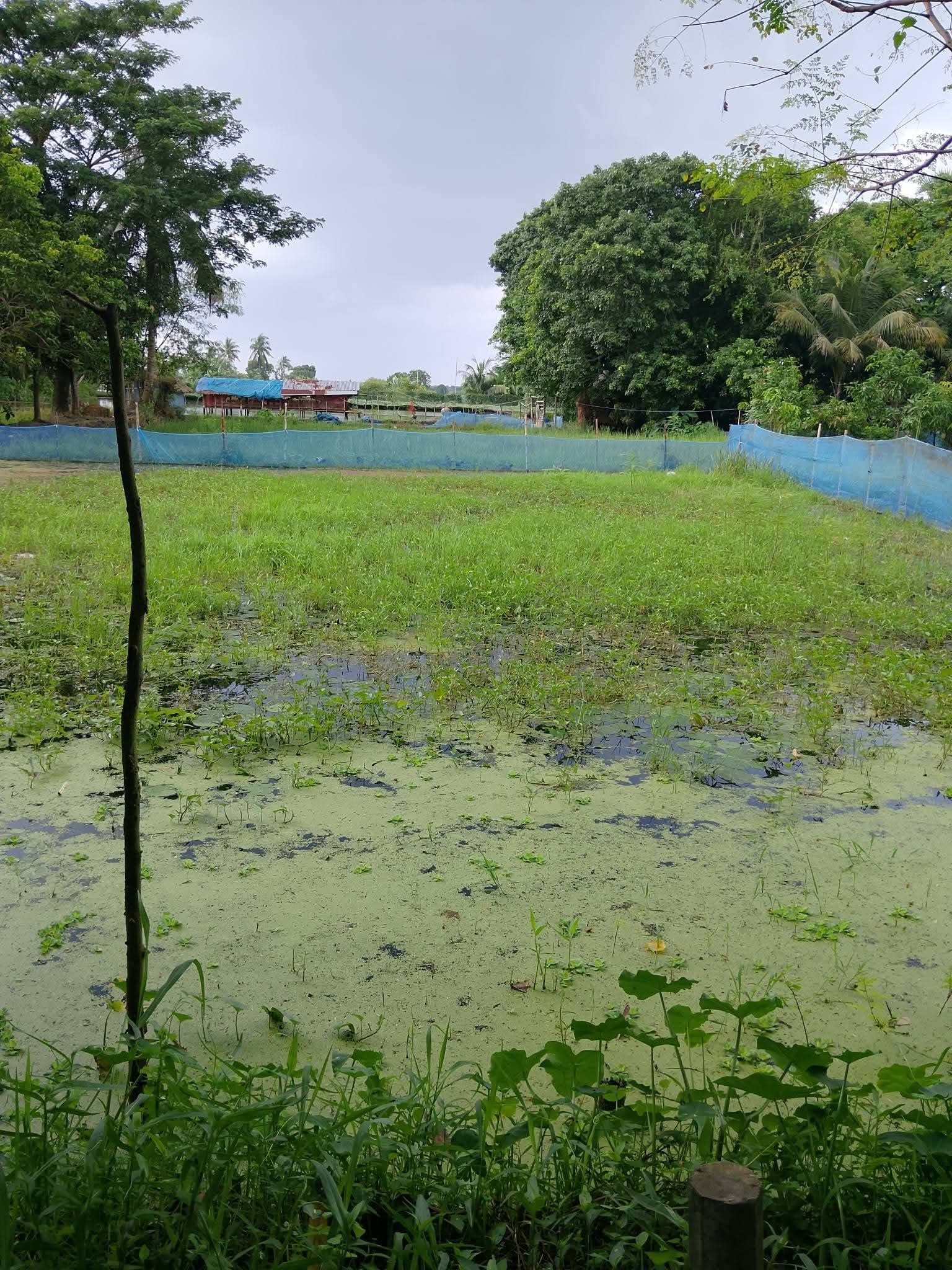 খুলনা লতারখামার মোড় সংলগ্ন ৫ কাঠা আকর্ষণীয় আবাসিক জমি বিক্রয় হবে! 2