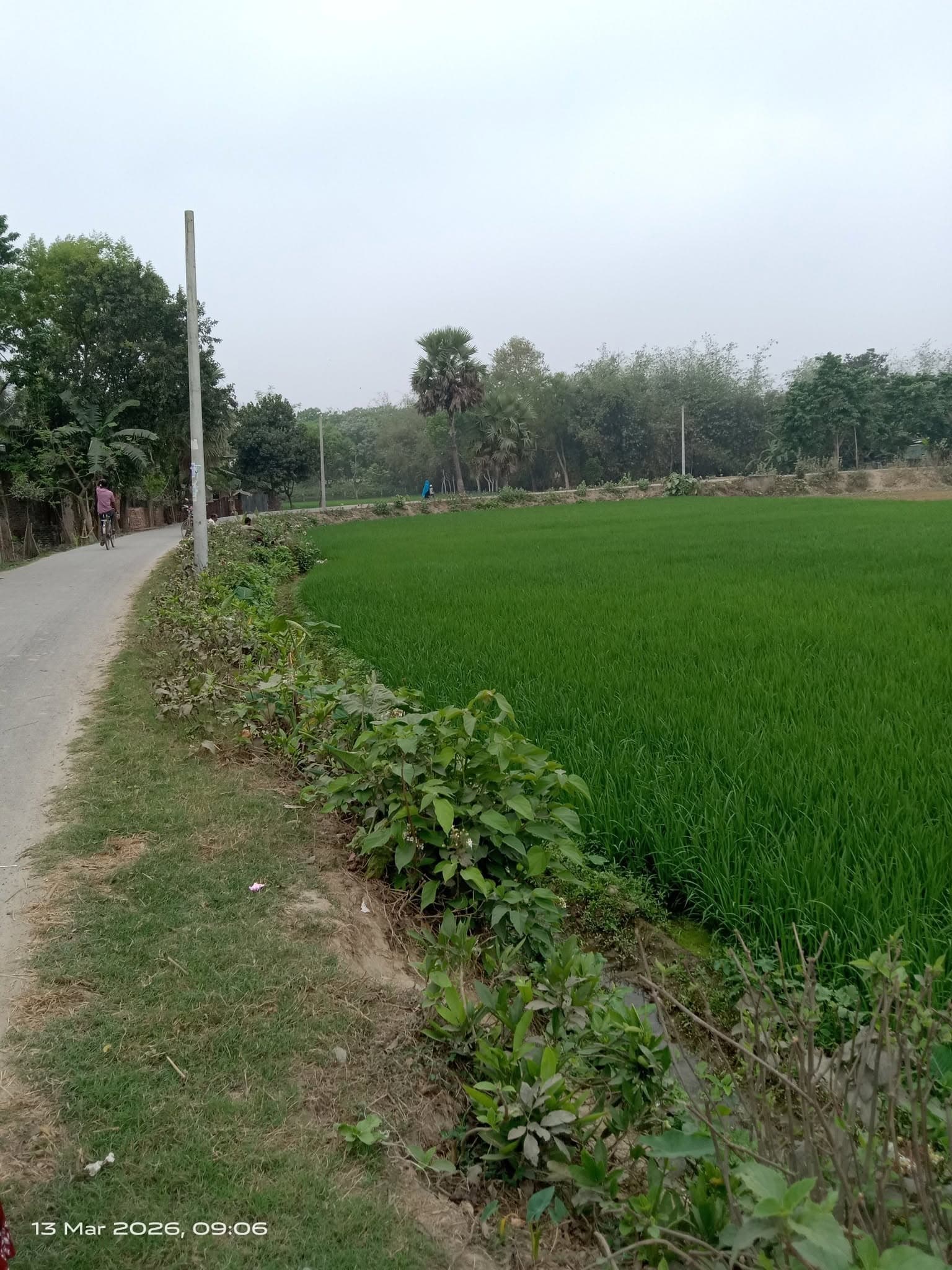 জরুরি ভিত্তিতে চুয়াডাঙ্গায় জমি বিক্রয় হবে 4