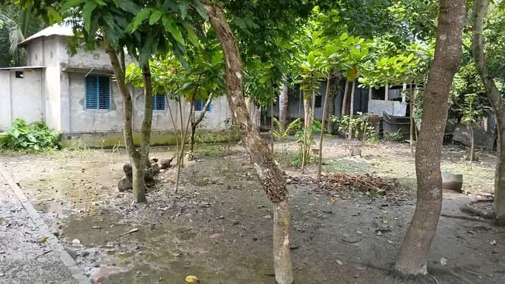 ফরিদপুর মেডিকেলের পাশে ৫শতক জমি বিক্রি করা হবে  2