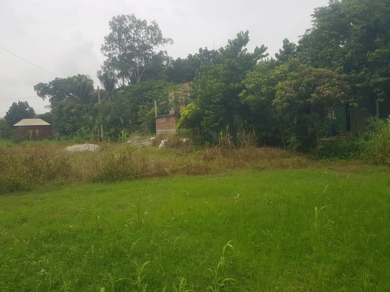 জরুরি ভিত্তিতে ৫ শতক জমি বিক্রয় হবে