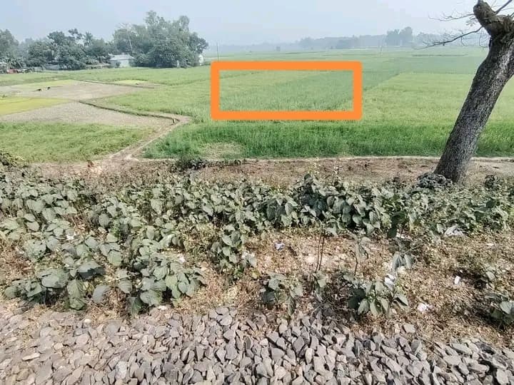 জরুরি জমি বিক্রি বিজ্ঞপ্তি ​টাঙ্গাইল সদরে আকর্ষণীয় স্থানে নিষ্কণ্টক জমি বিক্রয়