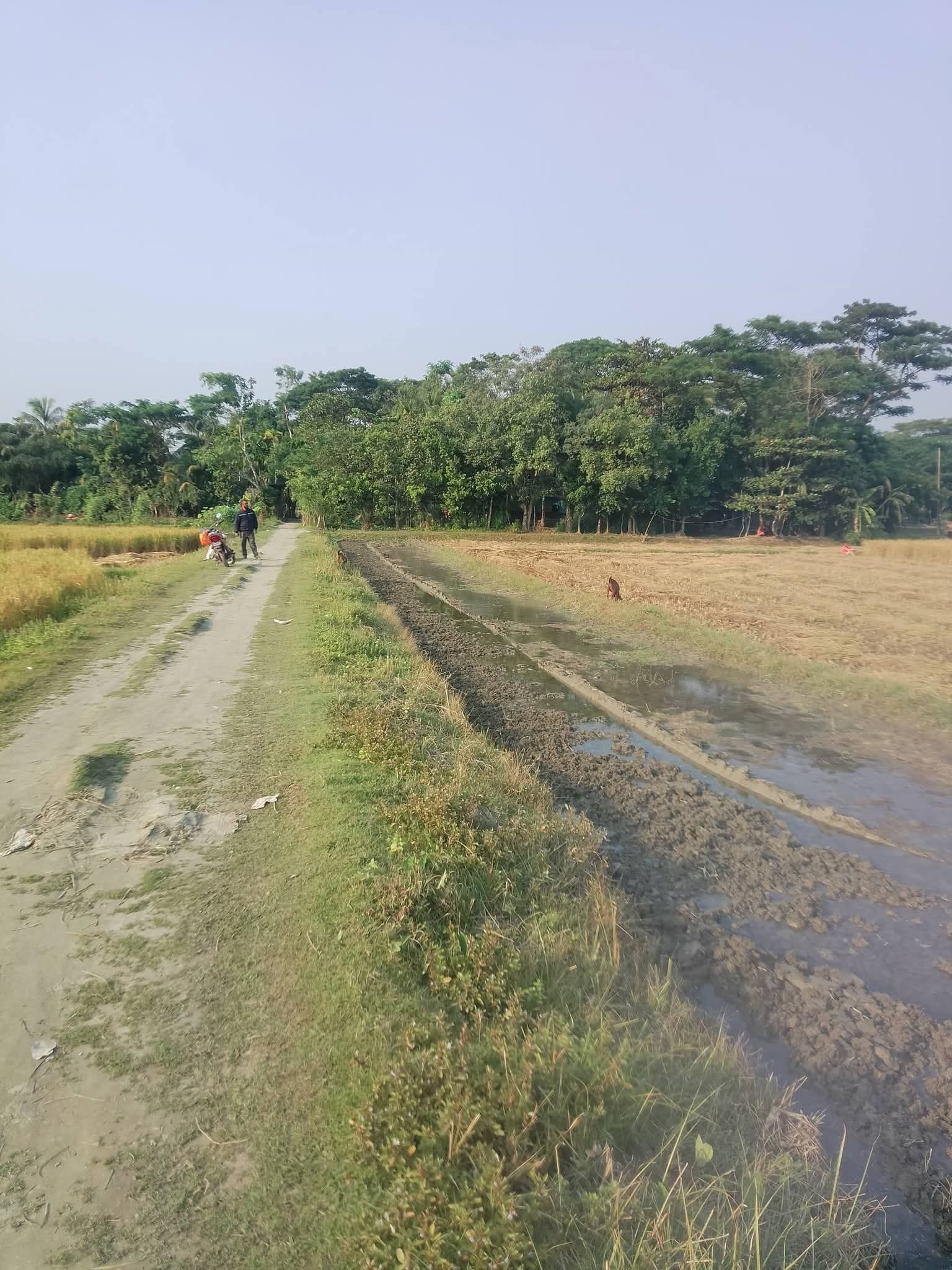 নোয়াখালী বিজ্ঞান ও প্রযুক্তি বিশ্ববিদ্যালয়ের পাশে ৯ শতাংশ জমি বিক্রয় হবে 