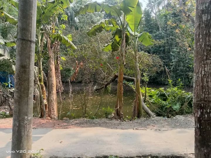 ​জরুরি ভিত্তিতে আকর্ষণীয় জমি বিক্রি  4