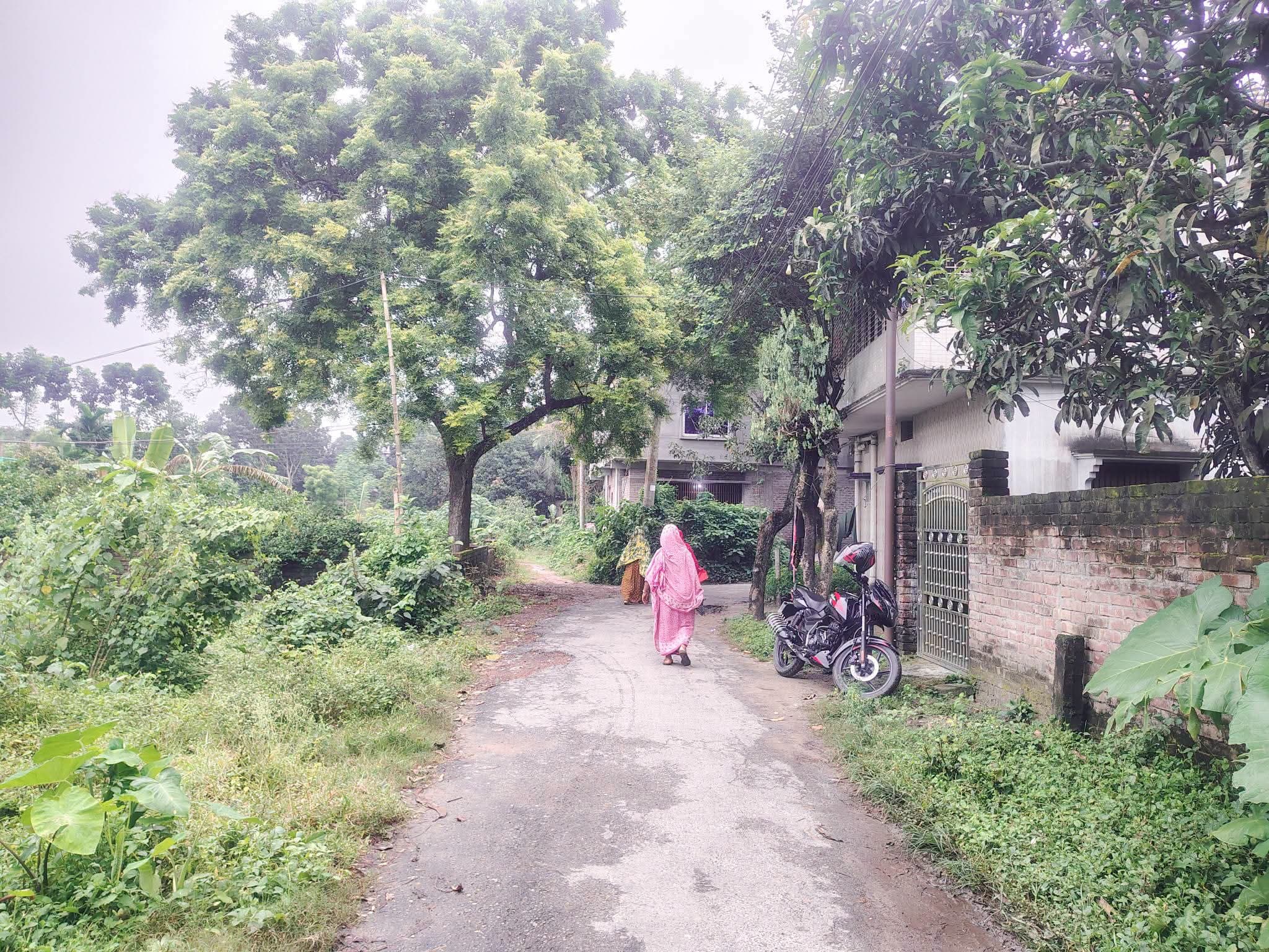 লিলি সিনেমা হল, ডালমিল মোড় সংলগ্ন