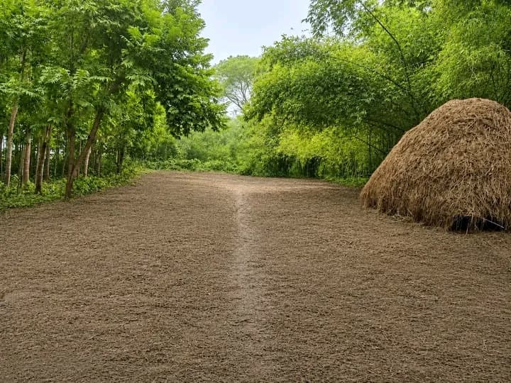 āĻā§āĻĒāĻžāϞāĻāĻā§āĻā§ āĻĒā§āϰāĻžāĻāĻŽ āϞā§āĻā§āĻļāύ⧠āĻāϰā§āϰāĻŋ āĻāĻŽāĻŋ āĻŦāĻŋāĻā§āϰā§!