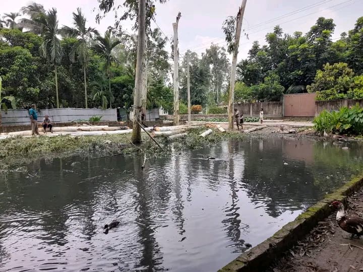 জমির দারুণ অফার! গাইবান্ধা সদরে জমি বিক্রয় — পুকুর ভেবে ভুল করবেন না! 3