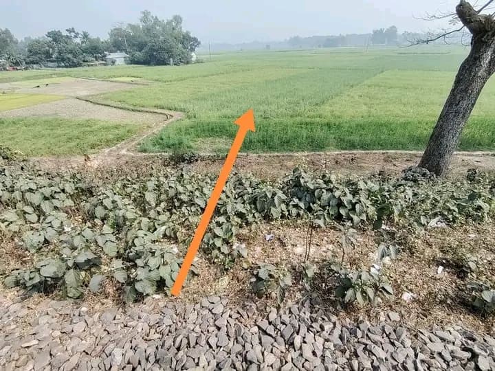 জরুরি জমি বিক্রি বিজ্ঞপ্তি ​টাঙ্গাইল সদরে আকর্ষণীয় স্থানে নিষ্কণ্টক জমি বিক্রয় 2