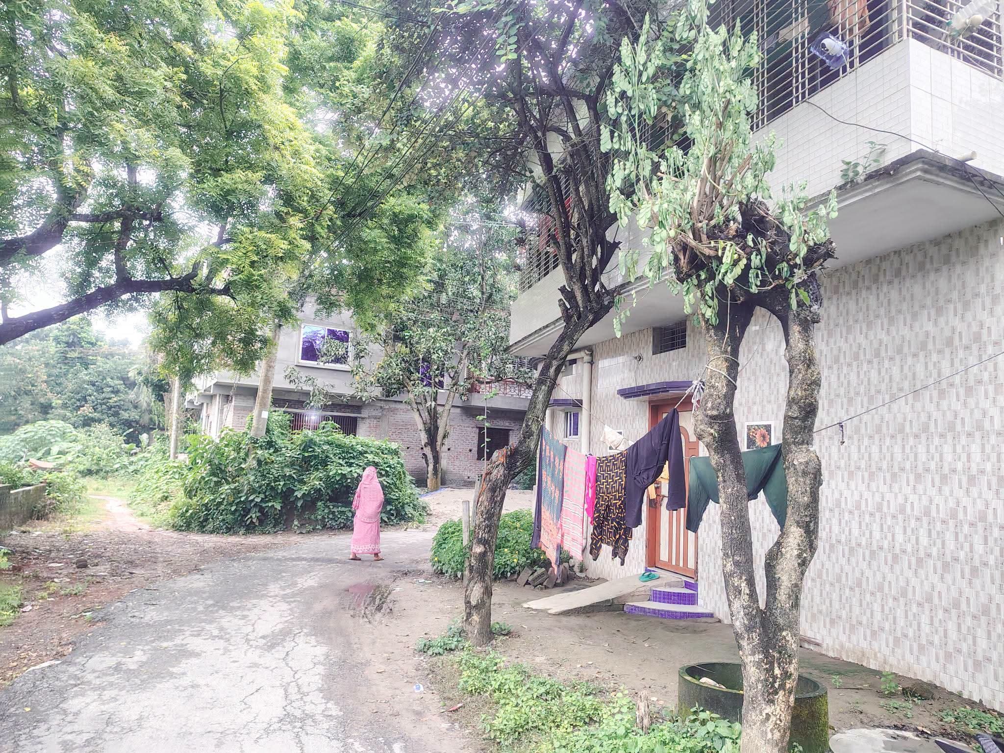 লিলি সিনেমা হল, ডালমিল মোড় সংলগ্ন 3