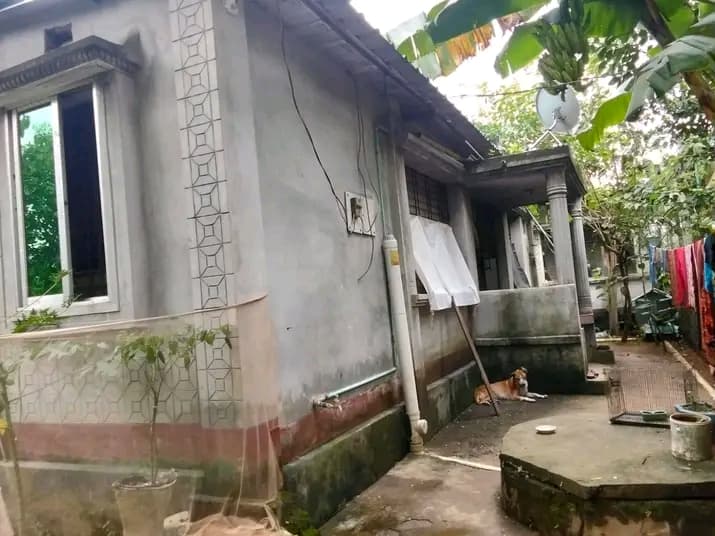 বাড়ি সহজ জমি বিক্রি করা  4