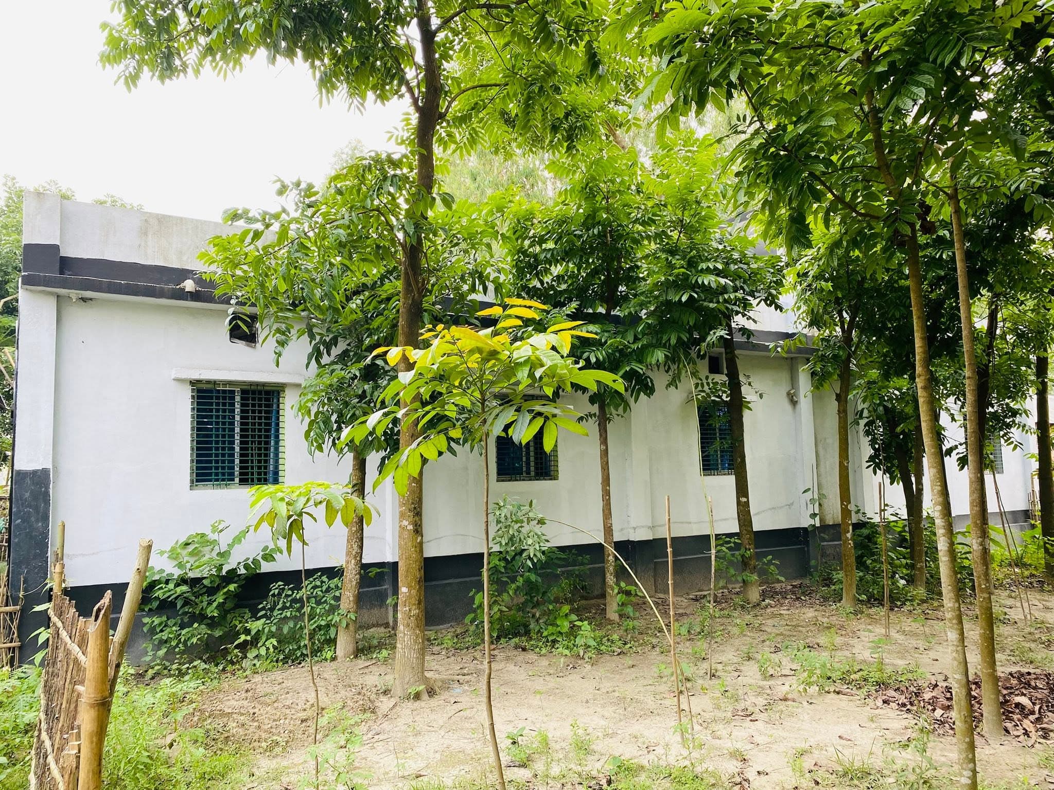 জরুরি ভিত্তিতে জমি ও বাড়ি বিক্রয় করা হবে! 4