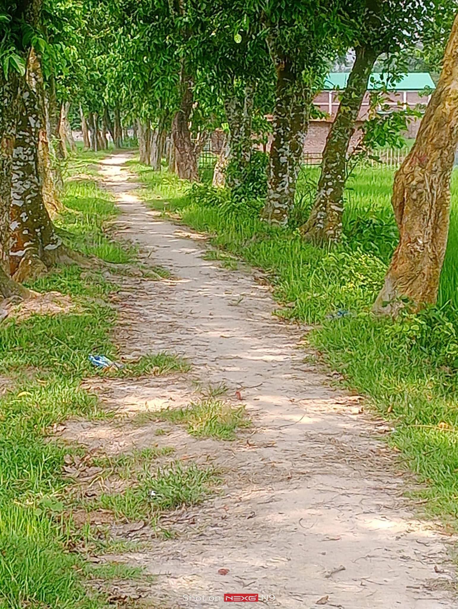 জরুরি ভিত্তিতে ১.২৬ একর জমি বিক্রয় 🚨 2