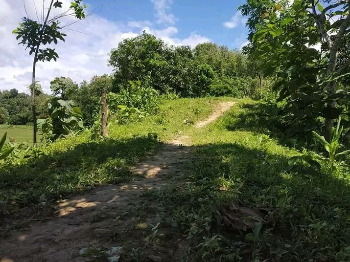 জমি বিক্রি হবে অবস্থান:চাঁদপুর ঘোষের হাট বিশ্বখাল সংলগ্ন    4