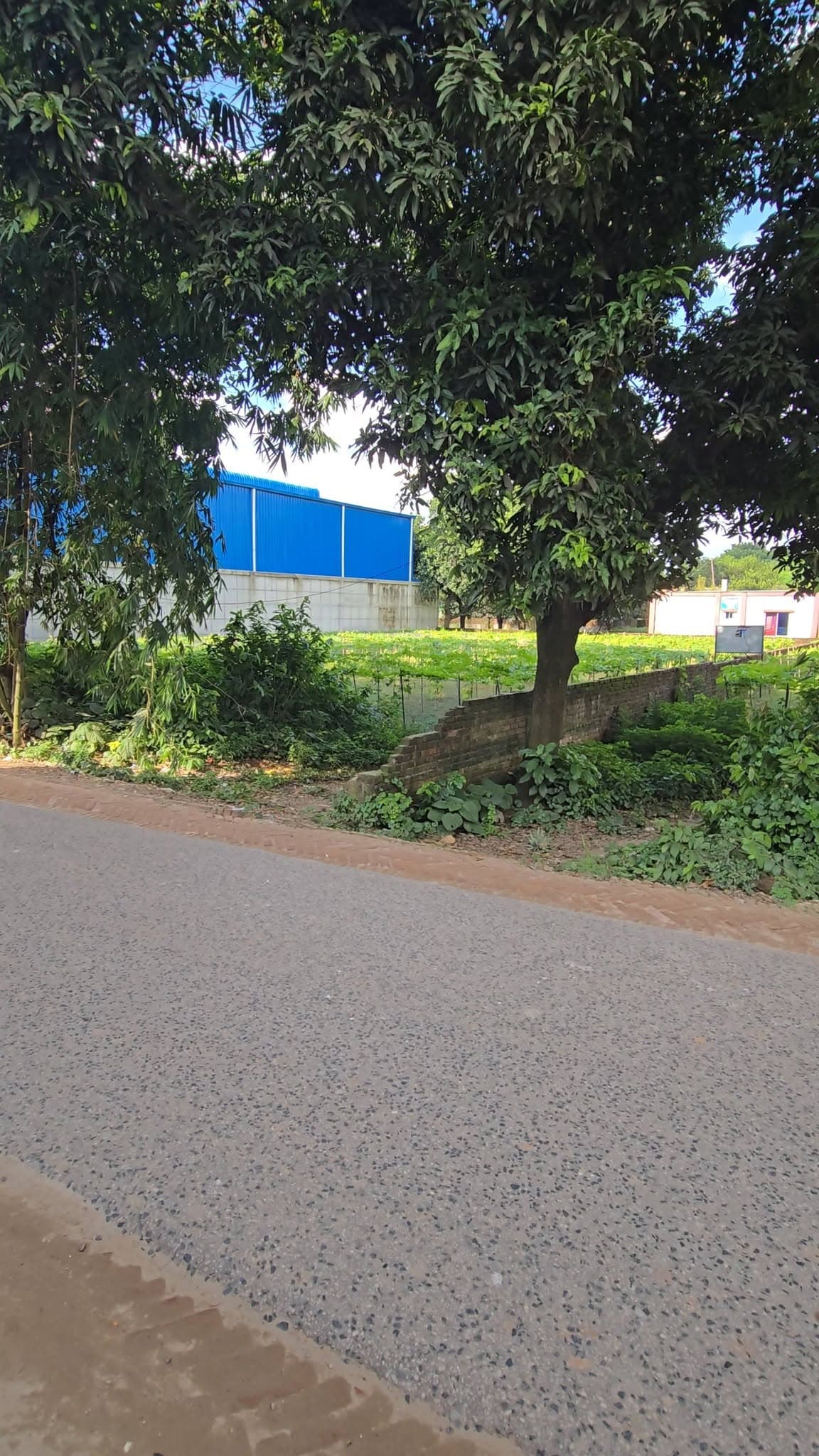  জরুরী সাভার মেইন রাস্তার সাথে ২২ শতাংশ জমি বিক্রয় হবে 2