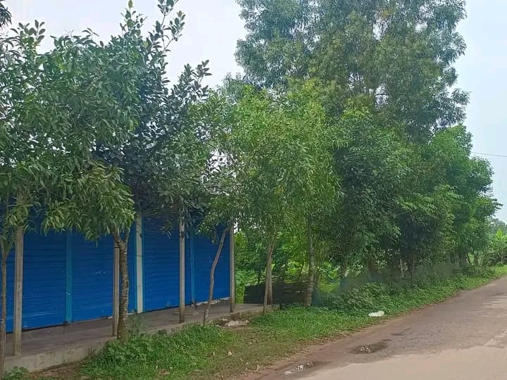 প্রাকৃতিক পরিবেশে তৈরি সম্পূর্ণ রেডি অ্যাগ্রো/রিসোর্ট প্রজেক্ট বিক্রয়! 3