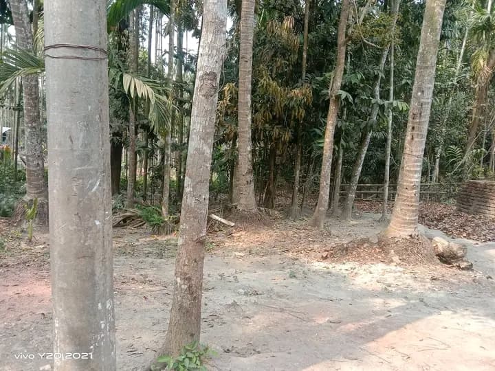 ​জরুরি ভিত্তিতে আকর্ষণীয় জমি বিক্রি  3