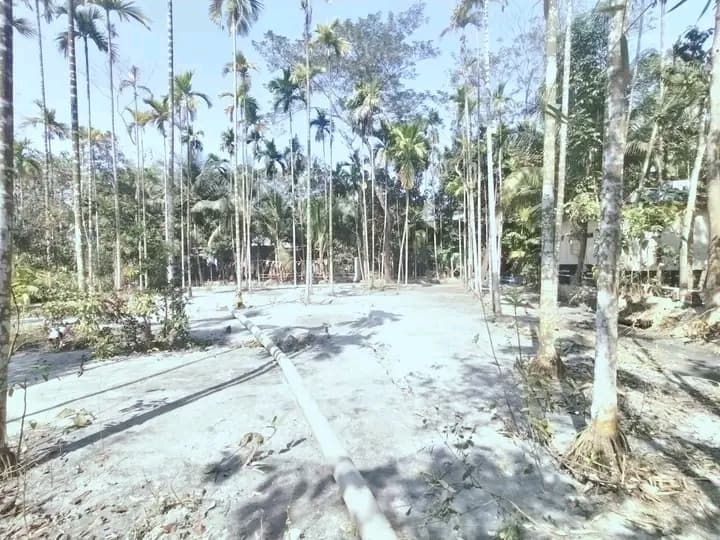 ঝালকাঠিতে প্রাইম লোকেশনে ২৭ শতাংশ জমি বিক্রি! 2