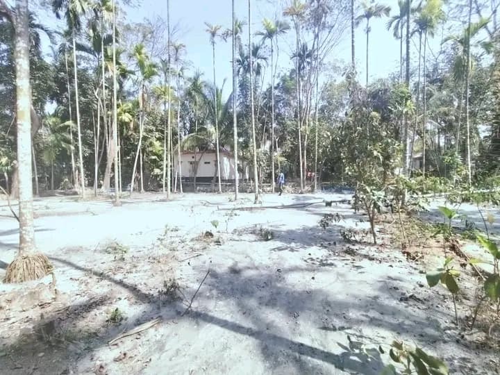 ঝালকাঠিতে প্রাইম লোকেশনে ২৭ শতাংশ জমি বিক্রি! 3