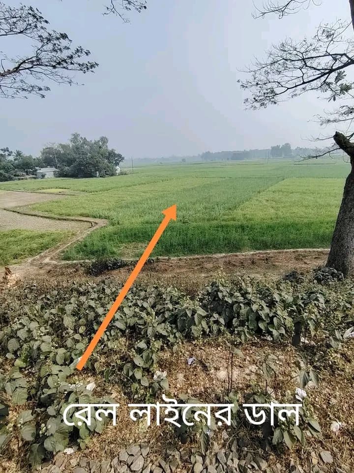 জরুরি জমি বিক্রি বিজ্ঞপ্তি ​টাঙ্গাইল সদরে আকর্ষণীয় স্থানে নিষ্কণ্টক জমি বিক্রয় 4