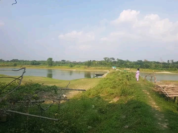 ৪ বিঘা ১২ কাঠা জমি বিক্রি করা হবে  2