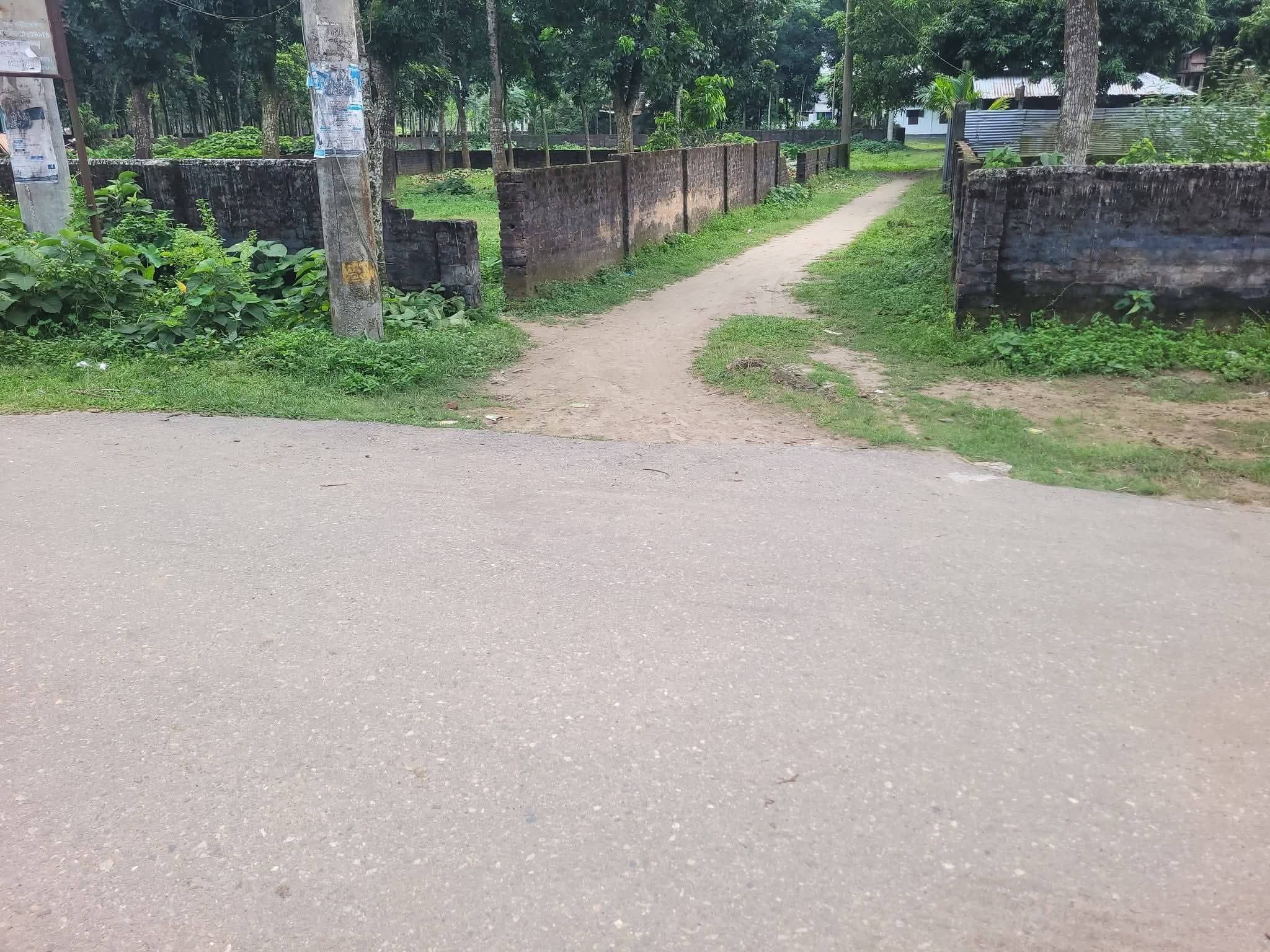 ঠাকুরগাঁও এর শাহা পারায় জমি বিক্রি করা হবে 