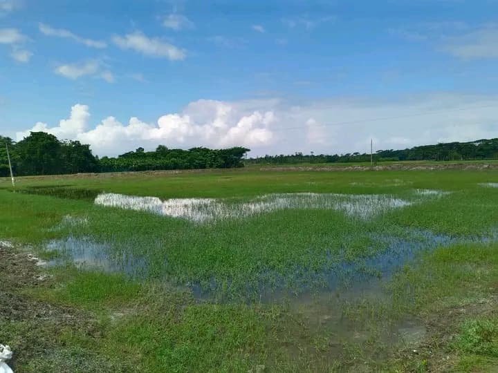জরুরি বিজ্ঞপ্তী: আকর্ষনীয় প্রজেক্ট/জমি বিক্রয়! 2