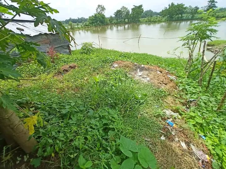 নওগাঁ চকমুক্তারে চমৎকার লোকেশনে জমি ও বাড়ি বিক্রয়! 2