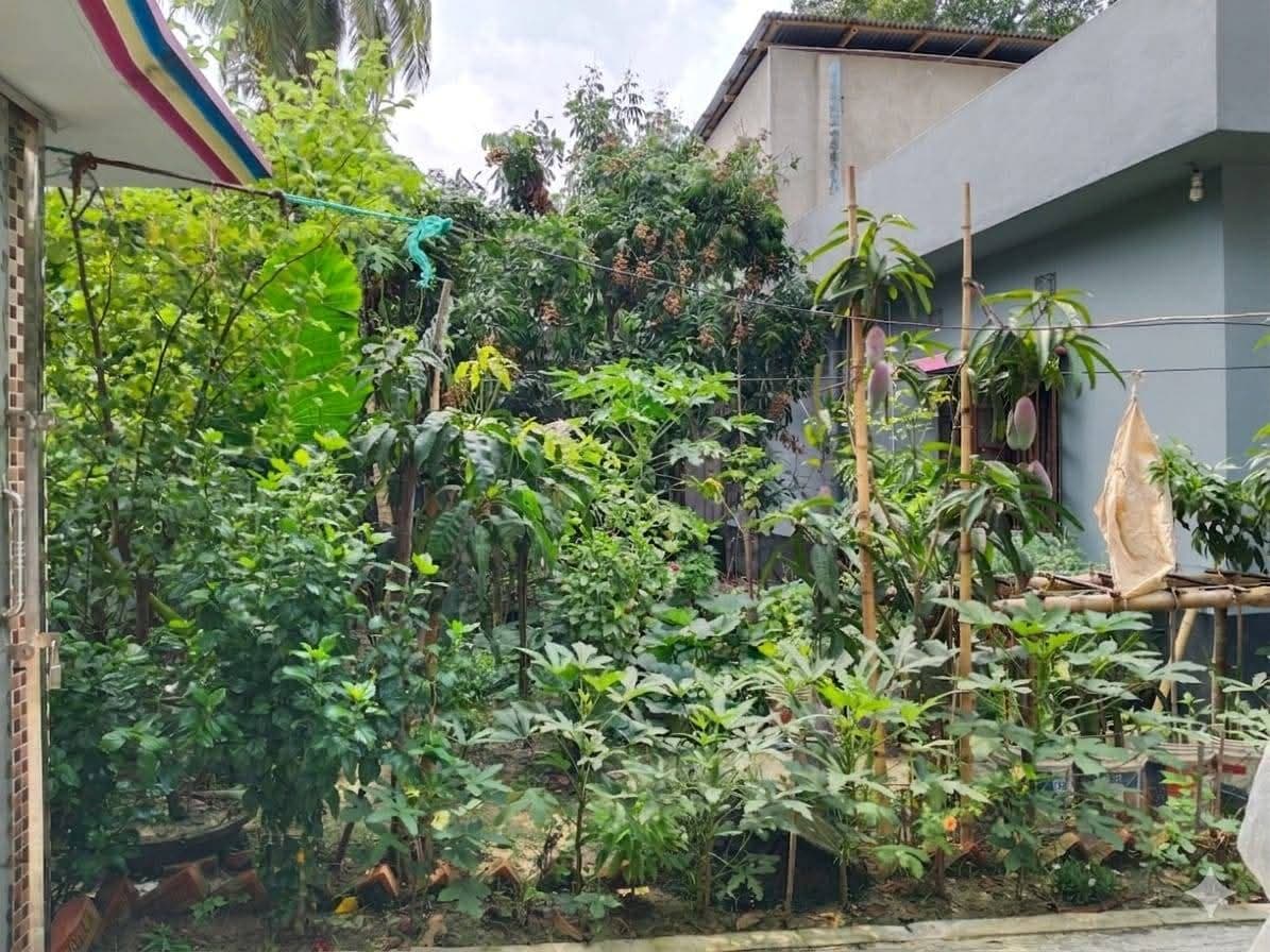 জরুরি ভিত্তিতে বাড়িসহ জমি বিক্রয় করা হবে 4
