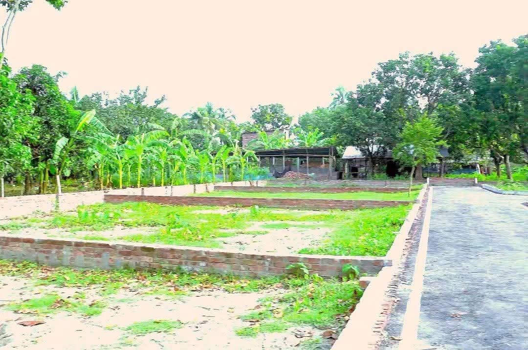 🏡 প্লট বিক্রয় চলছে