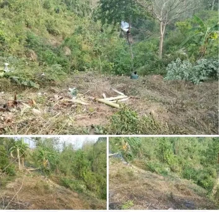 বান্দরবান এর মধ্যে ফজর আলি ক্যান্টপাবলিক কলেজের সাথে