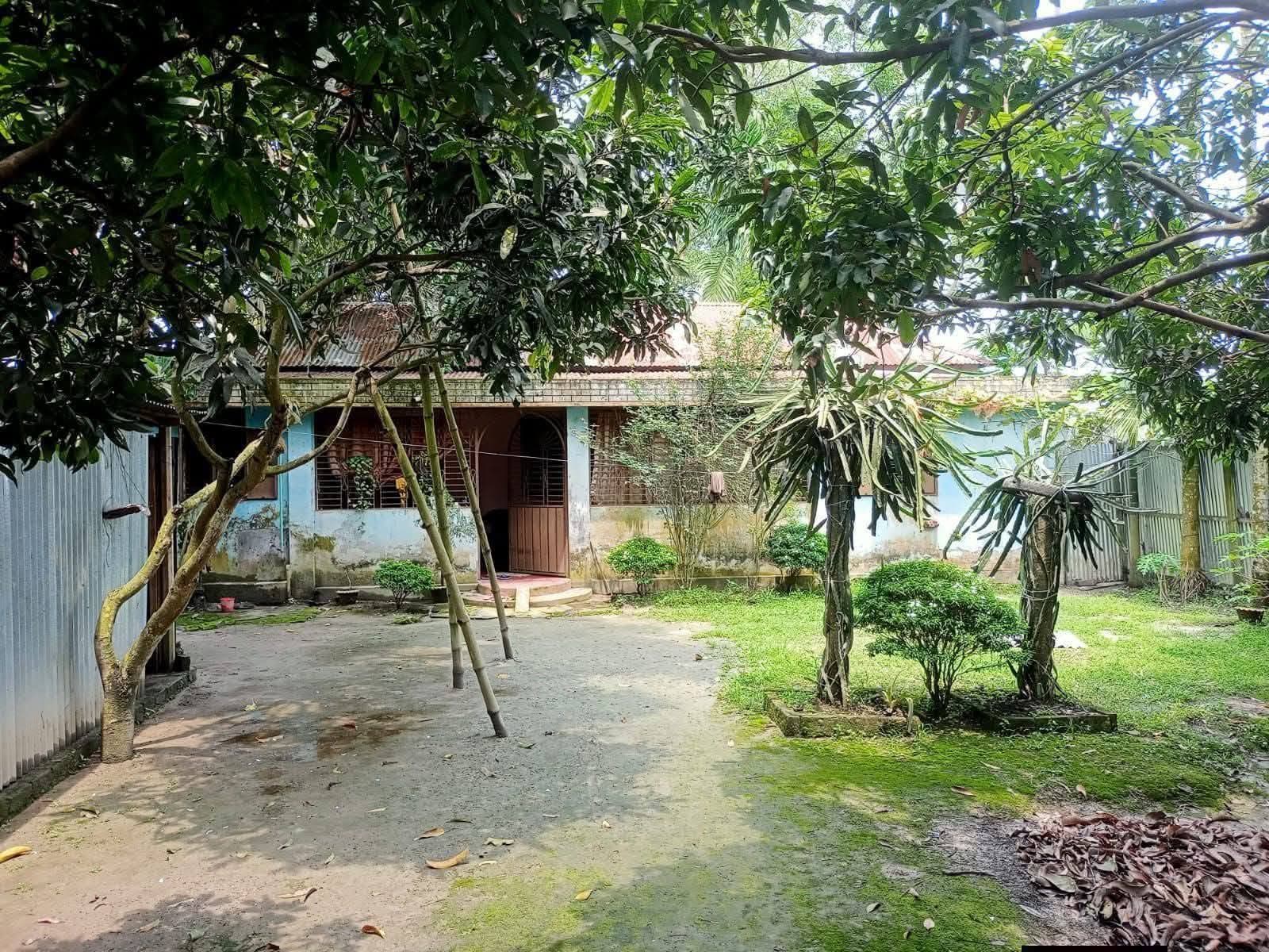 কসবা মোল্লাপাড়া নিরিবিলি পরিবেশে ১৪ শতাংশ জমিসহ সুন্দর বাসা বিক্রয় 2