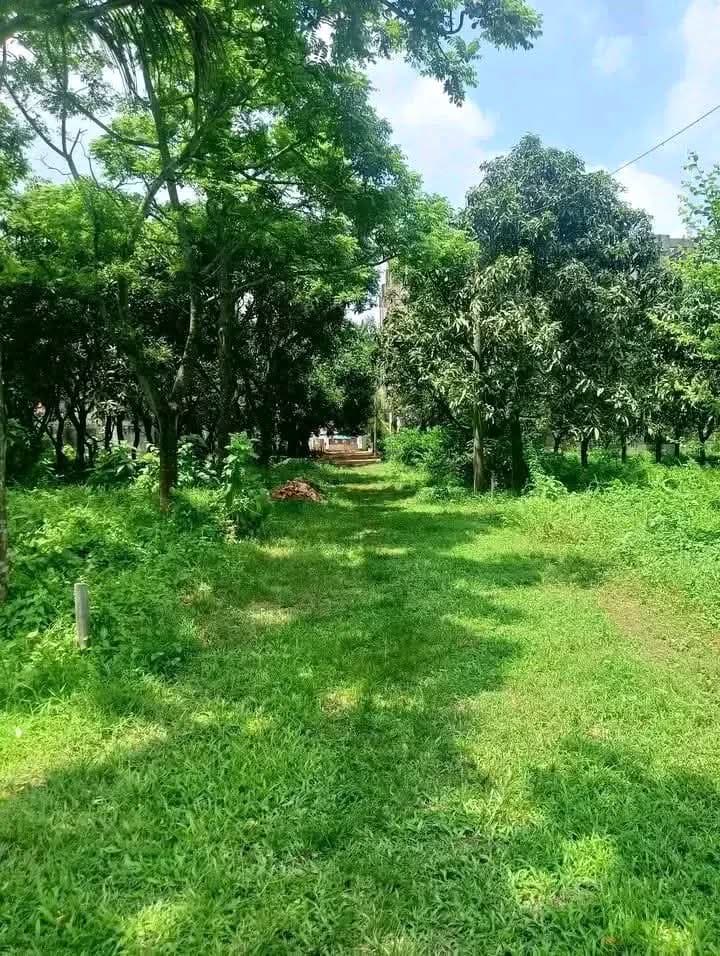 ✨ প্রিমিয়াম ৩ কাঠার পাশাপাশি দুইটি প্লট বিক্রয় চলছে ✨