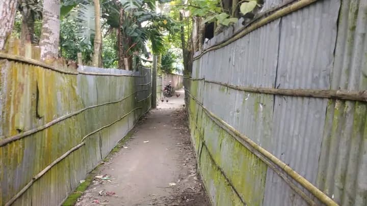 জরুরি ভিত্তিতে বসতবাড়িসহ জমি বিক্রি হবে — কুড়িগ্রাম 4