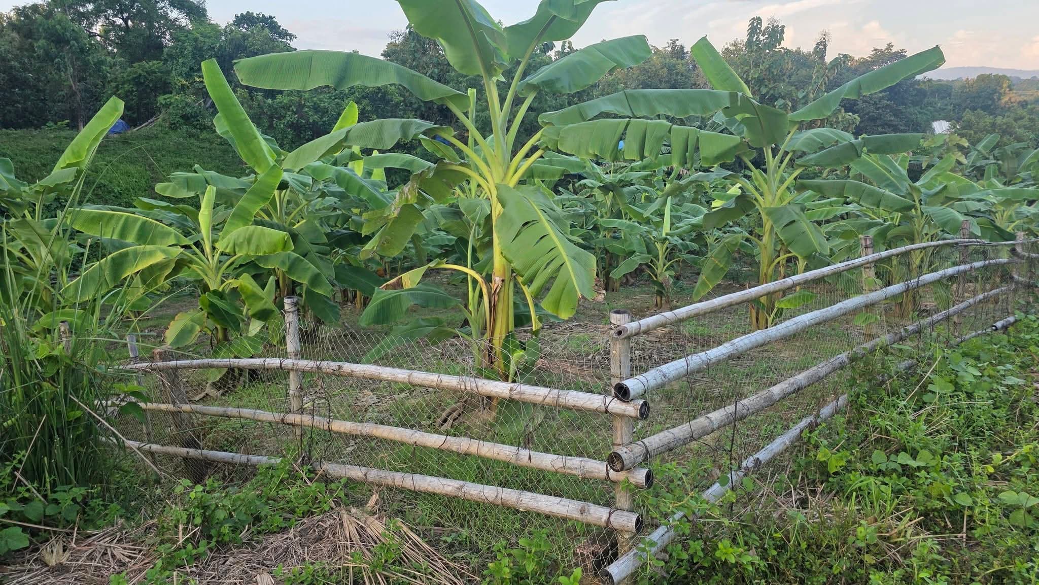 জায়গা বিক্রয় করা হবে — জরুরি ভিত্তিতে 🚨 2