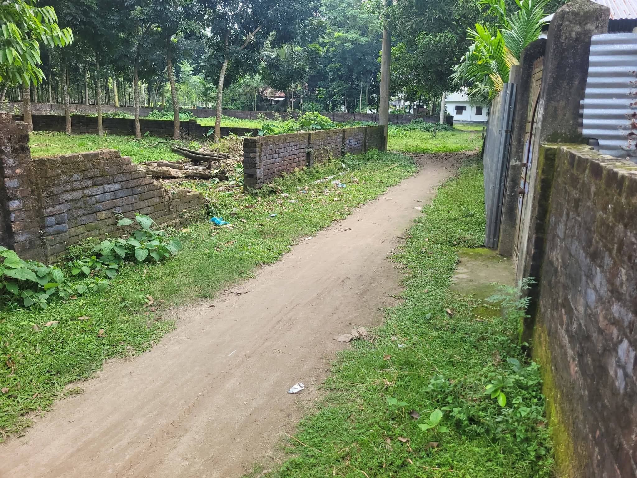 ঠাকুরগাঁও এর শাহা পারায় জমি বিক্রি করা হবে  3