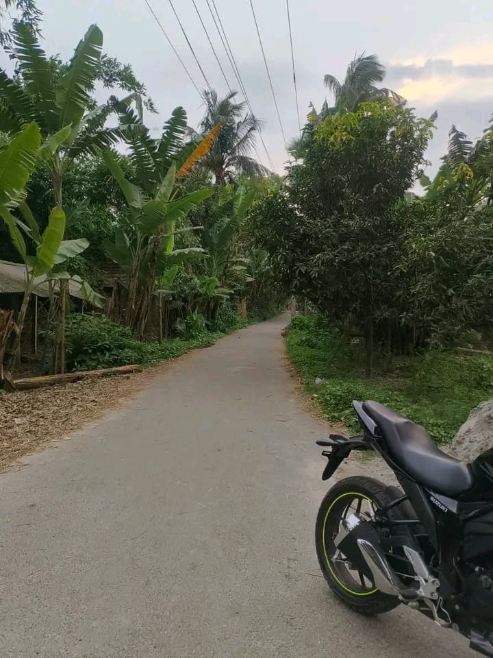 🚨 **সাতক্ষীরা ফিংড়ী রোডে সরাসরি মালিকের কাছ থেকে নিজের স্বপ্নের বাড়ির জন্য উঁচু ভিটা জমি কিনে নিন!** 🚨 2
