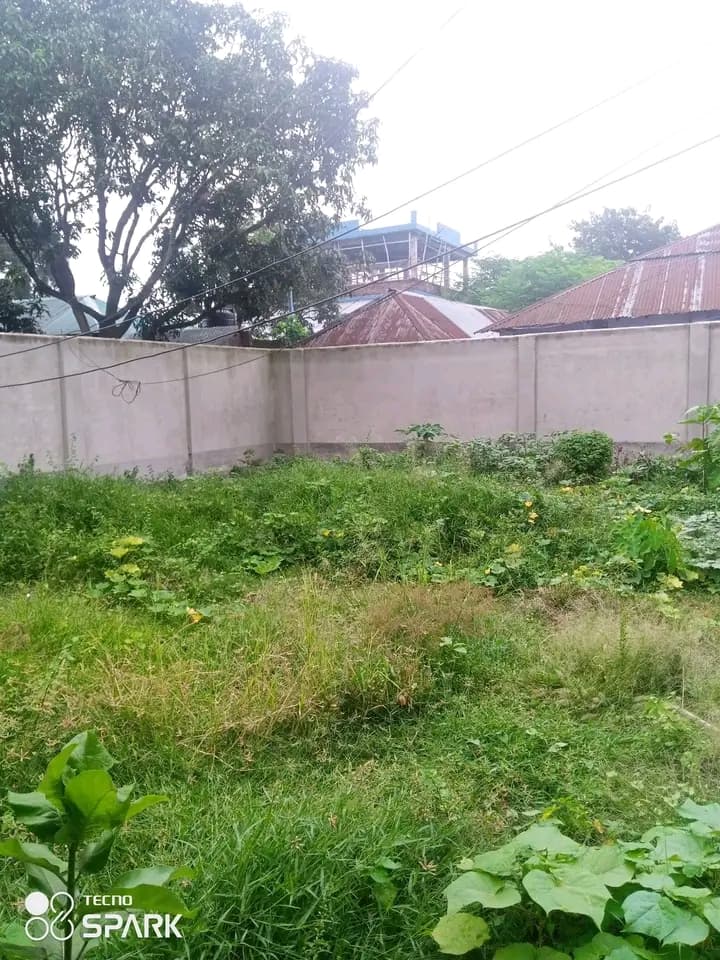 জরুরি জমি বিক্রি হবে — জয়পুরহাট 2