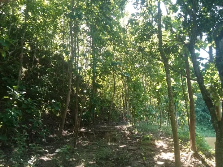 বান্দরবান এর মধ্যে ফজর আলি ক্যান্টপাবলিক কলেজের সাথে 3