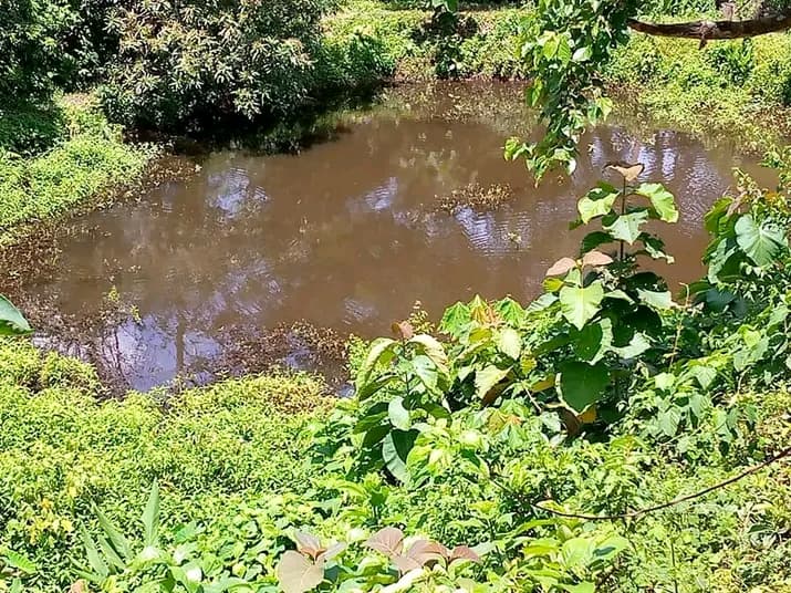 খ্রীস্টান ধর্মাবলমবিদের জন্য লেমুঝিরি এলাকায় জমি বিক্রি করা হবে 