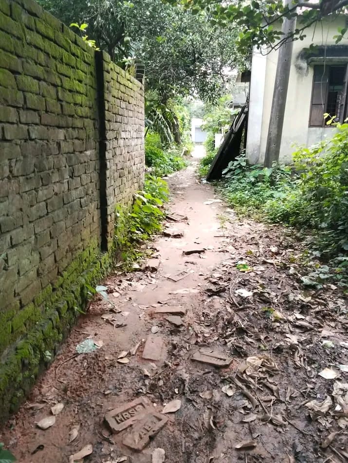 বাড়ি সহজ জমি বিক্রি করা  3