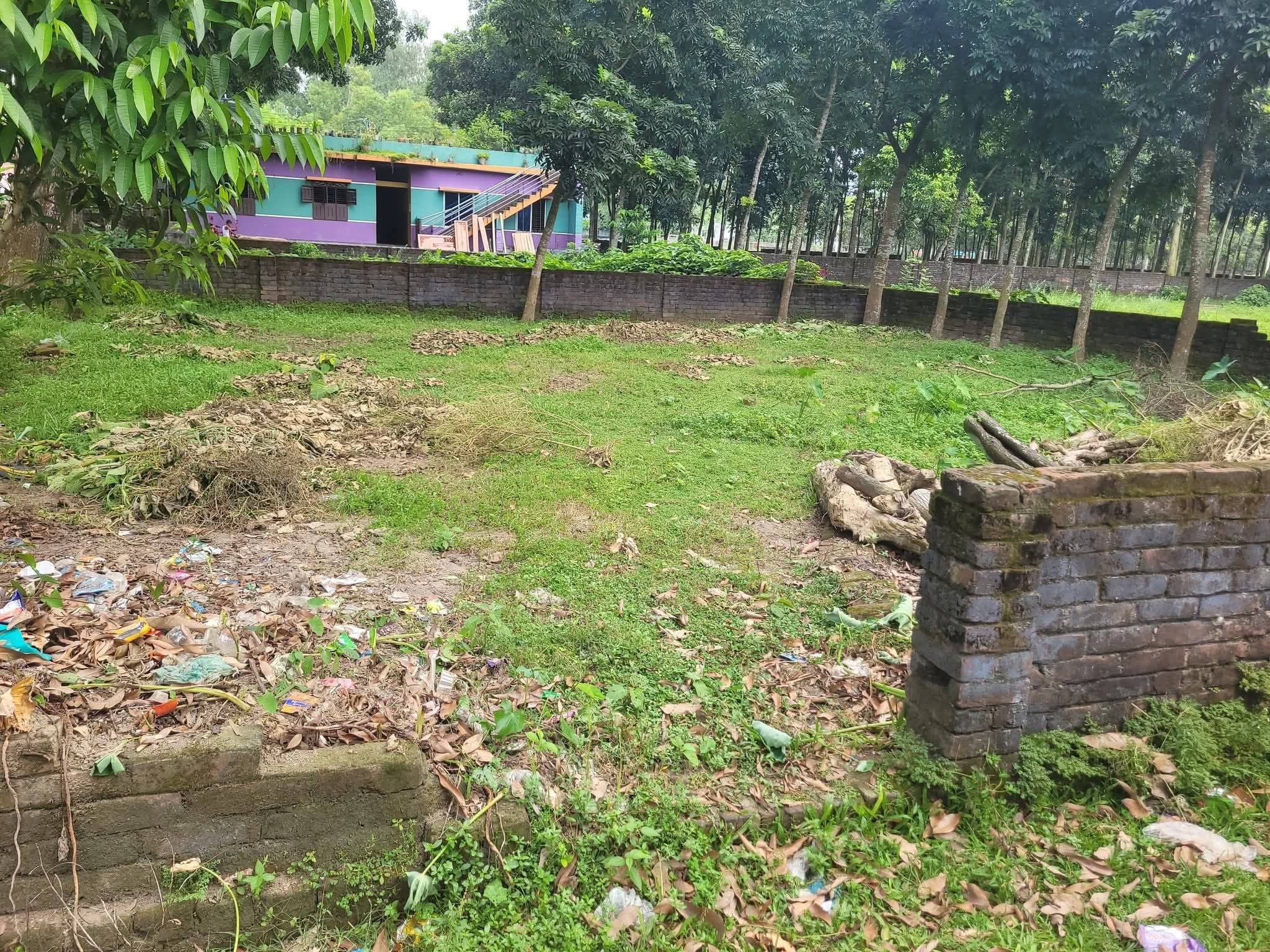 ঠাকুরগাঁও এর শাহা পারায় জমি বিক্রি করা হবে  2