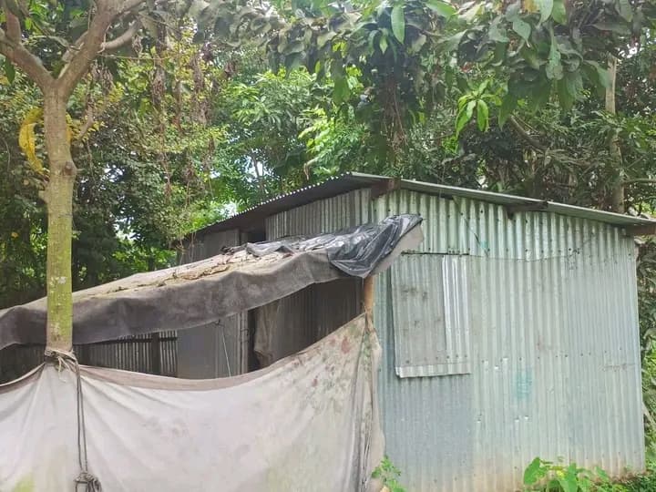 প্রাকৃতিক পরিবেশে তৈরি সম্পূর্ণ রেডি অ্যাগ্রো/রিসোর্ট প্রজেক্ট বিক্রয়! 2