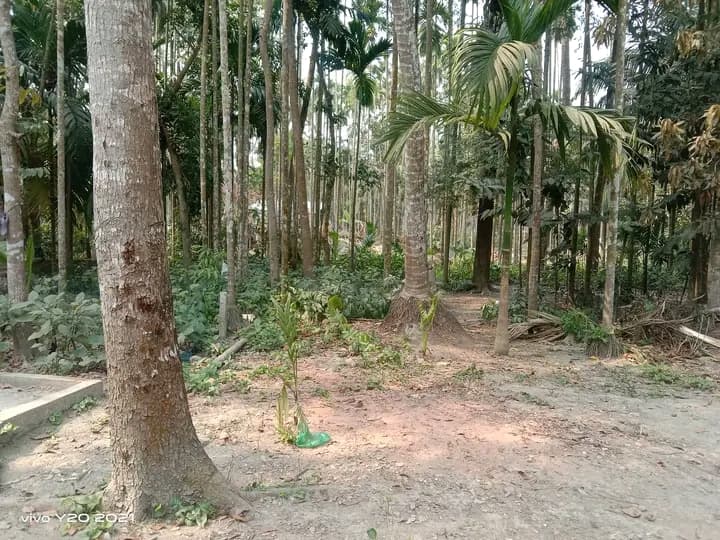 ​জরুরি ভিত্তিতে আকর্ষণীয় জমি বিক্রি  2