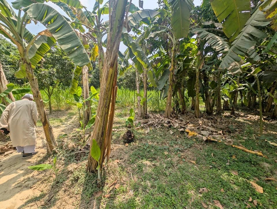 রাজশাহীর মাঠপাড়ায় ৭.৫+ কাঠা জমি বিক্রয় | ৬ ফিট রাস্তা | প্রতি কাঠা মাত্র ৩.৫ লাখ টাকা 3