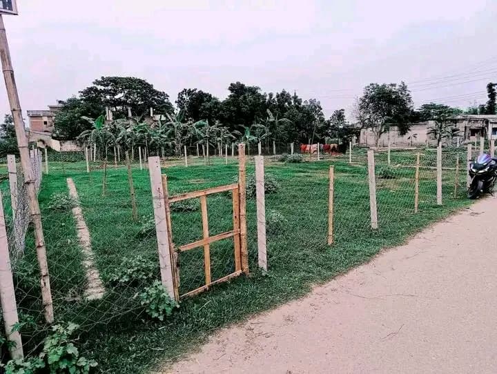 আলহেরা স্কুল এন্ড কলেজের ২০ গজ সামনে রাস্তার  পাশে ৭ শতাংশ জমি বিক্রি করা হবে  4