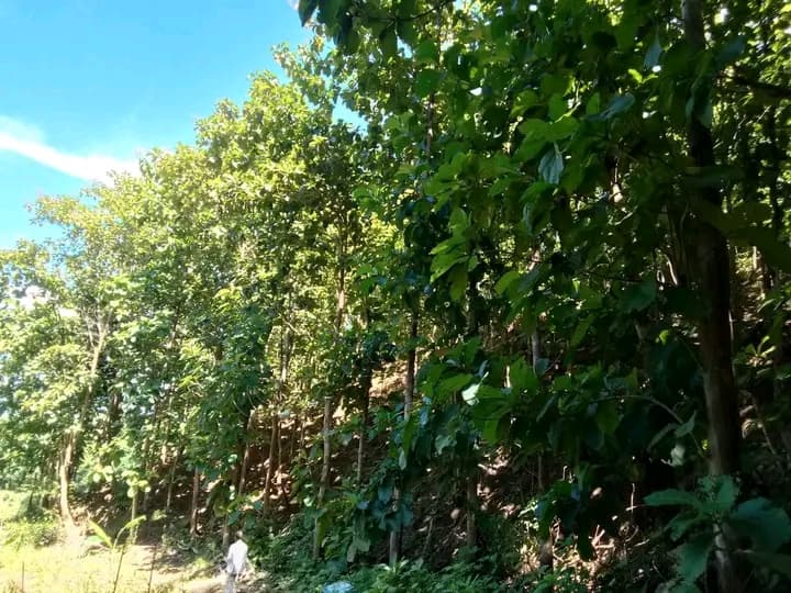 বান্দরবান এর মধ্যে ফজর আলি ক্যান্টপাবলিক কলেজের সাথে 2