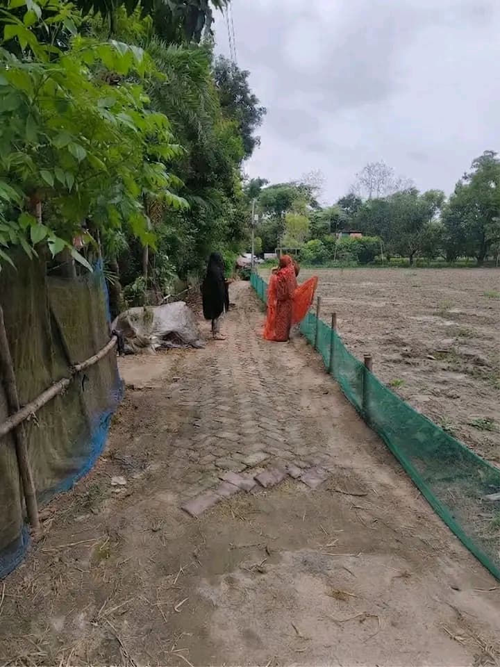 🚨 **সাতক্ষীরা ফিংড়ী রোডে সরাসরি মালিকের কাছ থেকে নিজের স্বপ্নের বাড়ির জন্য উঁচু ভিটা জমি কিনে নিন!** 🚨