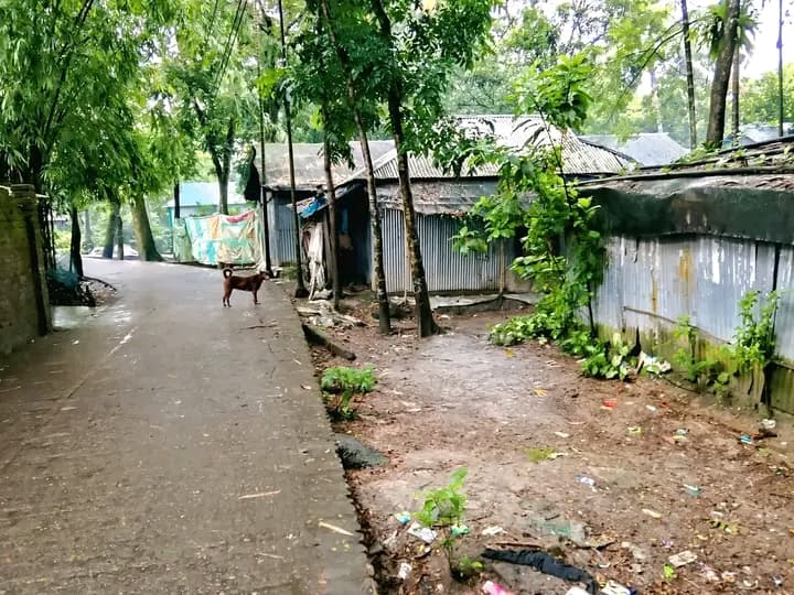 জরুরী বিক্রয় বিজ্ঞপ্তি আগ্রহী প্রকৃত ক্রেতাগনের দৃষ্টি আকর্ষণ করছি, ✅